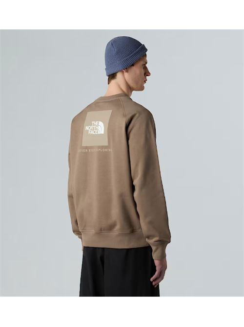 m raglan box nse hoodie THE NORTH FACE | NF0A89FAE1Q1E1Q